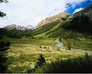 《汪汪队大电影2》新海报 9月29日北美上映